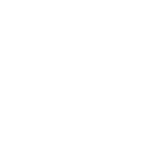 Logo Chronicles of Sunshine